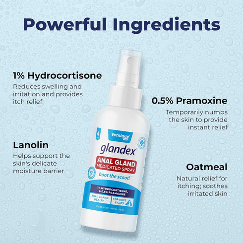 Vetnique Labs Glandex Medicated Dog Anal Gland Spray - Pain Relieving & Anti-Itch Formula (4oz)