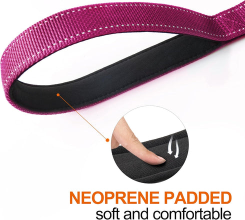 TwoEar 4FT 1IN Strong Rose Dog Leash, 2 Padded Handles, Traffic Handle for Extra Control, Reflective Lead for All Dogs