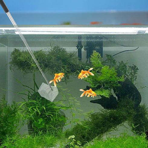 Skimming IMIKEYA Extendable Shrimp Net Fish Mesh Net Black Square Frame Fish Tank Cleaning Shrimp Catching Suitable