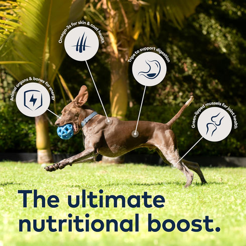 ZIWI Peak Air-Dried Dog Food, Lamb, All Natural, High Protein, Grain Free, Limited Ingredient with Superfoods, 16oz