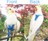 VANFAVORI Adjustable Bird Harness with 80 Inch Leash, Outdoor Training Rope Kit for Parrots S Size