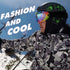 Ski Goggles, Pack of 2, Snowboard Goggles for Kids, Boys & Girls, Youth, Men