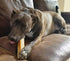 Authentic Himalayan Natural Dog Cheese Chew, Pack of 4 Large & XLarge Chews, Premium Organic Yak Chew for Indoor and