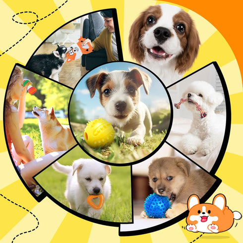 Zeaxuie 9 Pack Puppy Chew Toys, Squeaky Dog Toys, Treat Ball and Rope for Small Dogs