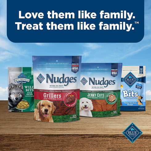 16oz Blue Buffalo Nudges Grillers Natural Dog Treats, Beef
