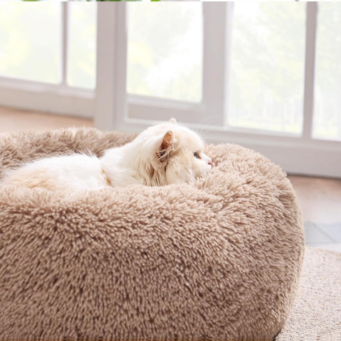 Bedsure Small Cat Bed for Indoor Cats, Washable 20 inches Anti-Slip Round Fluffy Plush Faux Fur Pet Bed, Fits up to 15