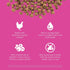Go! Solutions Skin + Coat Care Dry Cat Food, Chicken Recipe with Grains, 8 lb, for All Life Stages