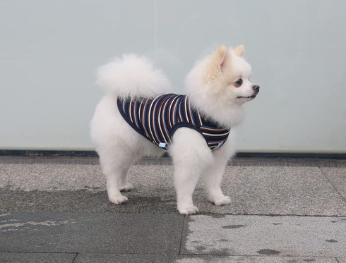Striped Teacup Pet Dog T-Shirts, 100% Cotton Tank Vest for Small Dogs and Cats, Blue Black
