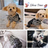 SILD Pet Denim Jumpsuit Classic Jacket for Medium Small Dogs, Cool Blue Vintage Washed Coat, Puppy Blue (XXL, Black)