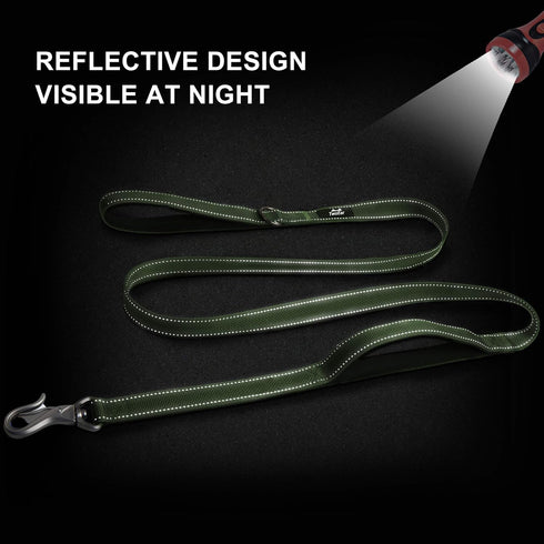 TwoEar 5FT 1IN Strong Green Dog Leash, 2 Padded Handles, Traffic Handle for Extra Control, Reflective Lead for All Dogs