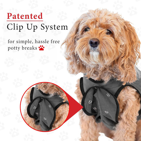BellyGuard Recovery Suit for Dogs, Comfy Post-Op Care Onesie for Female Spay and Male Neuter Surgery