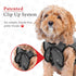 BellyGuard Recovery Suit for Dogs, Comfy Post-Op Care Onesie for Female Spay and Male Neuter Surgery