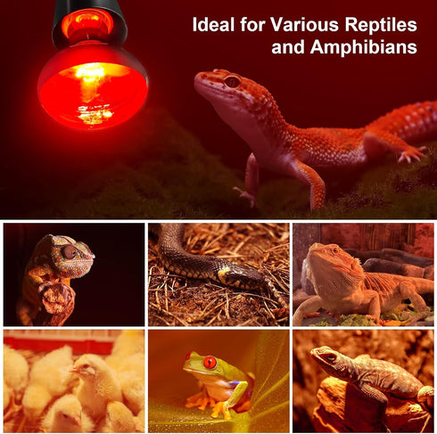 100W Bulbs, 2 Pack Bulbs Bulbs MIXJOY Infrared Heat Lamp Reptile Infrared Heat Emitter Red Heat Lamp Infrared Basking