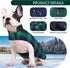 Kuoser Dog Winter Coat, Reversible British Style Jacket, Warm Cold Weather Vest for Small Dogs, Green S