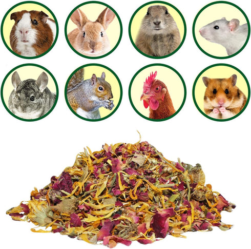 Exotic Nutrition Flower Treat 3 Pack - Healthy Assortment of Hibiscus, Calendula, Rose for Squirrels, Guinea Pigs,