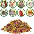 Exotic Nutrition Flower Treat 3 Pack - Healthy Assortment of Hibiscus, Calendula, Rose for Squirrels, Guinea Pigs,