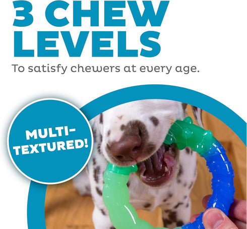 Orka Grow-with-Me-Ring Dog Chew Toy by Petstages