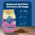 Blue Buffalo Life Protection Formula Small Breed Puppy Dry Dog Food, Chicken & Oatmeal Recipe, 5-lb. Bag with DHA