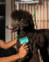 Jelly Pet Universal Slicker Brush for Dogs, Dog Grooming Brush, Remove Tangles and Dead Undercoat, Tuffer Than Tangles