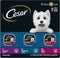 CESAR Filets in Gravy Adult Wet Dog Food, Variety Pack with Filet Mignon, New York Strip, and Prime Rib, 3.5 oz.
