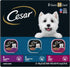 CESAR Filets in Gravy Adult Wet Dog Food, Variety Pack with Filet Mignon, New York Strip, and Prime Rib, 3.5 oz.