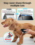 OCPEET 4 1 Trimmer 2 Speed,6 Dog Grooming Kit Low NoiseCordless in Dog Clippers for Grooming Rechargeable Pet Cat