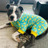 KYEESE Velvet Dog Pajamas, Soft Pjs for Medium Sized Dogs with Yellow Ducks Pattern, Stretchy Pet Jammies Coat Comfy