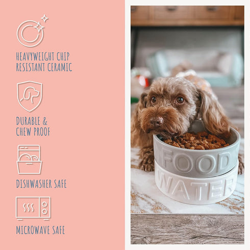 Park Life Designs Pet Bowl | Classic Water Bowl (Small, Grey)