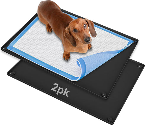 Skywin TidyFriend 2 Pk Pee Pad Holder Tray for 30 x 23