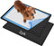 Skywin TidyFriend 2 Pk Pee Pad Holder Tray for 30 x 23