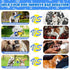 Upgraded Dog Squeak Toys, Tug of War Squeaky Parrot Toys with Strong Pull Rope for Small, Medium, Large Dogs