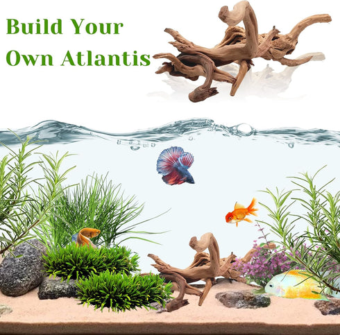 Tfwadmx Natural Driftwood for Aquarium, Reptile Branches, Terrarium Wood, 11-13 inch Pack of 2 Fish Tank Log Decoration
