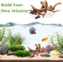 Tfwadmx Natural Driftwood for Aquarium, Reptile Branches, Terrarium Wood, 11-13 inch Pack of 2 Fish Tank Log Decoration