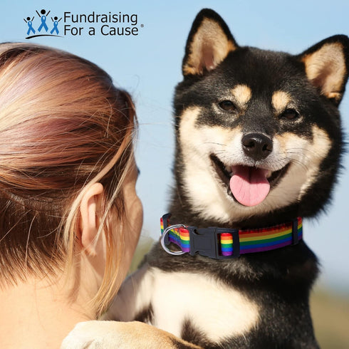 Rainbow Pet Collars for Dogs and Cats, LGBTQ Accessories, Gay Pride Pride Flag Collar, Large Size