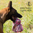 Durable Dog Toys - Rope Chew Toys for Large Breed, Tug of War Dog Toy, Washable Cotton Rope for Small Breed Puppies