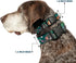 Buckle-Down Plastic Clip Collar - The Jungle Book 8-Character Group, Greens, 1" Wide, Fits 9-15" Neck, Small