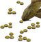 Pleco Treats, Disc-Shaped Supplement for Bottom Feeders, Strengthens Overall Development, 2.8 oz. per Pack