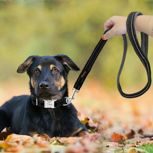 Didog Dog Walking Leash - 4 FT Black with Soft Flannel Padded Handle, Reflective Night Safety for Small Medium Dogs