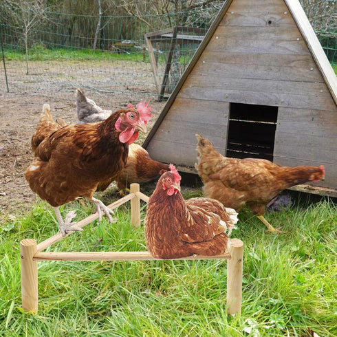 2P Chicken Perch for Coop & Brooder, Pine Wooden Chicken Toys & Coop Accessories for Chicken Triangular Gym Roosting