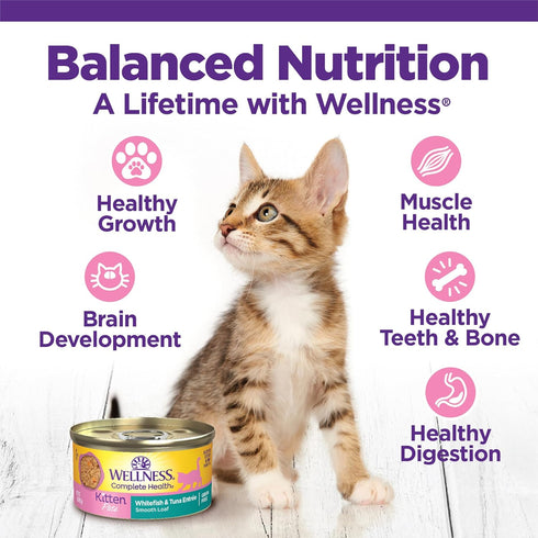 Wellness Complete Health Grain-Free Wet Canned Cat Food - Natural Ingredients, Real Meat, Smooth Pate, 3 oz, Pack of 24