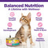 Wellness Complete Health Grain-Free Wet Canned Kitten Food, Real Meat, Whitefish & Chicken Bundle, 12 Cans