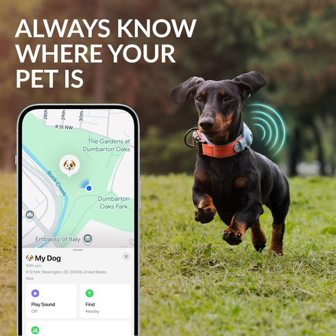 CollarDirect Airtag Dog Collar - Reflective Nylon Neoprene Leather Holder for Apple Air Tag for Large, Medium, and