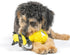 Huxley & Kent Slappies for Dogs | Buzz Bee (Small) | Squeak & Shake Dog Toy - TPR Ball Simulates Hunting