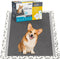 ZOMISIA Charcoal Puppy Pee Pads for Dogs, 22"x22" 100 Counts + 2