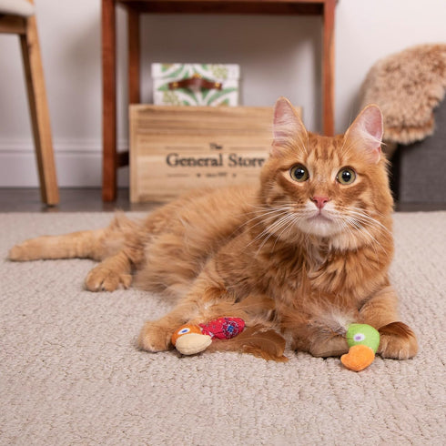 2-Pack 2-Pack Instincts by SmartyKat HappyNip Love Mates Feather Birds Plush Cat Toys, Contains Catnip & Silvervine