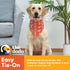 The Dodo Dog Bandana, Striped; Cute Print Bandana for Dogs, Summer Pattern Neck Kerchief for Everyday Pet Apparel