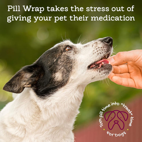 Riley's Pill Wrap for Dogs - 4.2 oz Delicious Cheese & Bacon Flavored Pill Paste to Mask Taste & Make Pill Time Fun