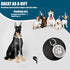 Chain Dog Collar - 15mm Silver Cuban Link with Snap Buckle, Silver Plated Stainless Steel, Includes Dog Tag & Bell (24")