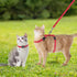 PAWCHIE Escape Proof Adjustable H-shaped Cat Harness with Leash and Collar Set - Glow in The Dark Star and Moon Pattern