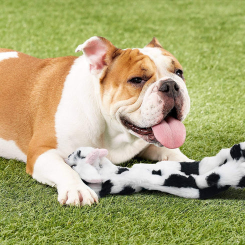 SHARLOVY Dog Squeaky Toys, 3 Pack No Stuffing Crinkle Plush Toys for Small Breeds and Puppies